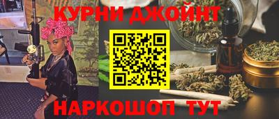 стаф Новокубанск