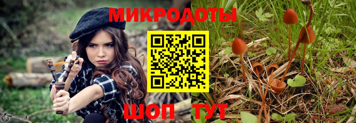 Галлюциногенные грибы GOLDEN TEACHER Ейск