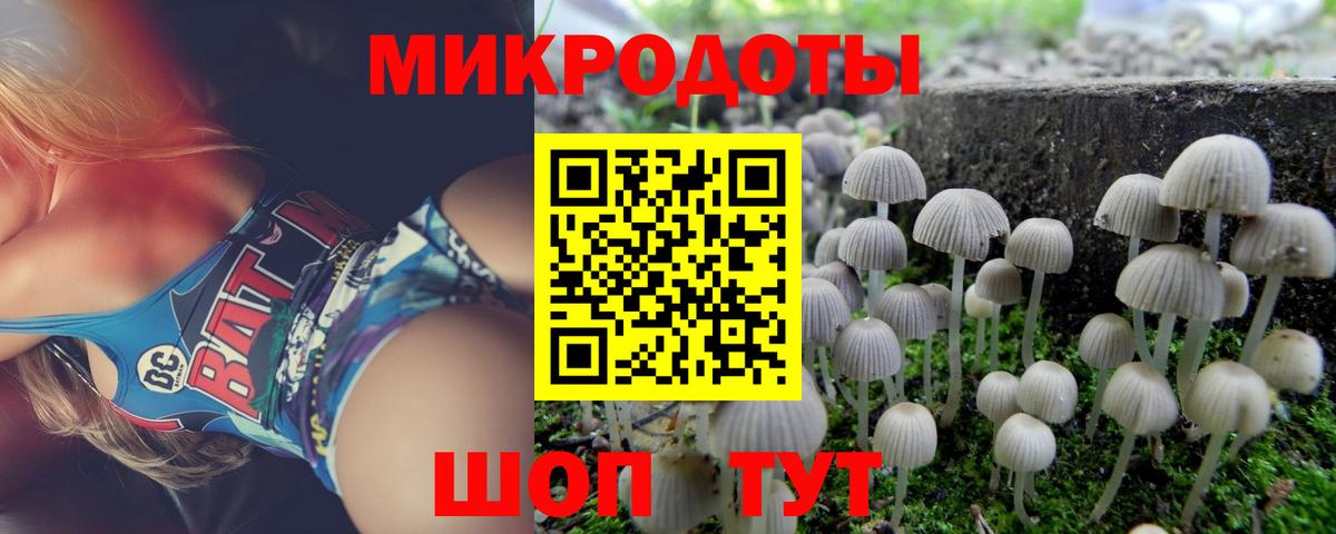 Галлюциногенные грибы мицелий  купить наркотики цена  Ейск  Вход с VPN  Псилоцибиновые грибы мицелий 